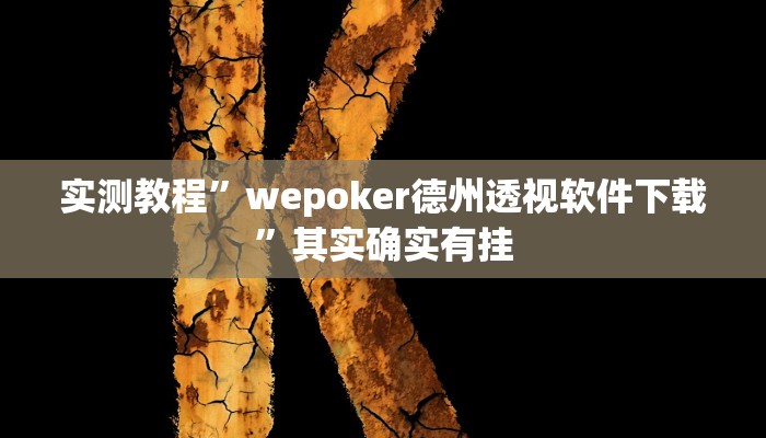 实测教程”wepoker德州透视软件下载”其实确实有挂