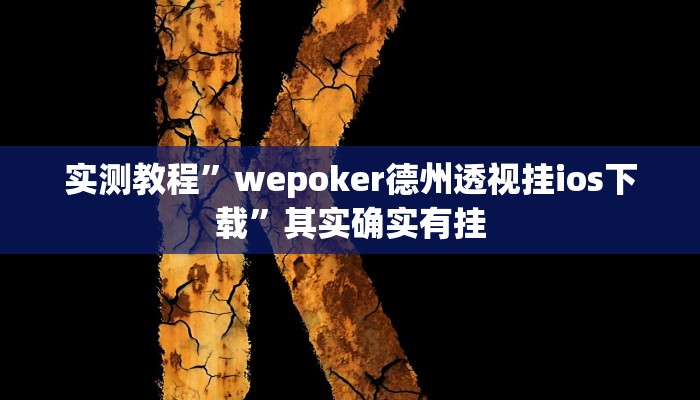 实测教程”wepoker德州透视挂ios下载”其实确实有挂