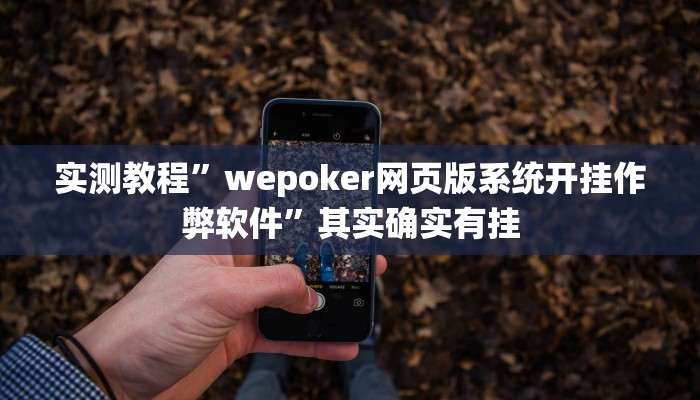 实测教程”wepoker网页版系统开挂作弊软件”其实确实有挂