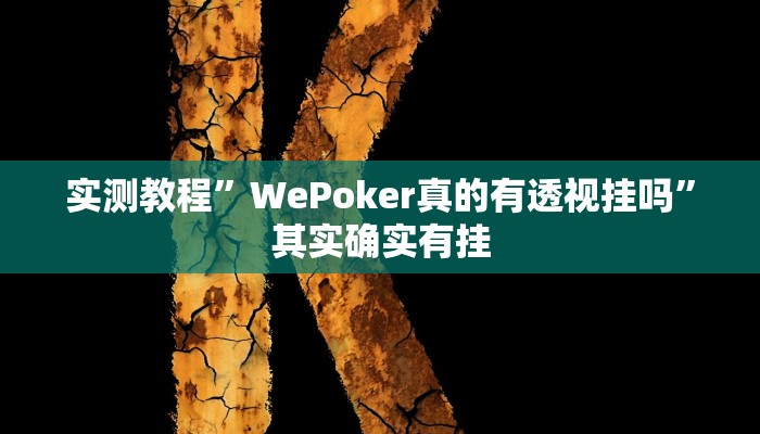 实测教程”WePoker真的有透视挂吗”其实确实有挂
