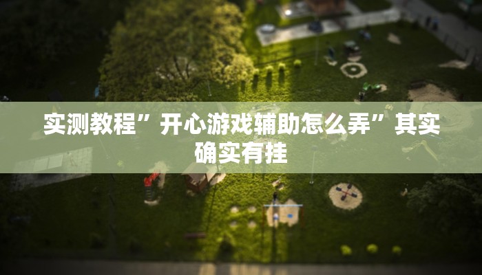 实测教程”开心游戏辅助怎么弄”其实确实有挂
