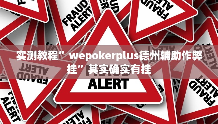 实测教程”wepokerplus德州辅助作弊挂”其实确实有挂
