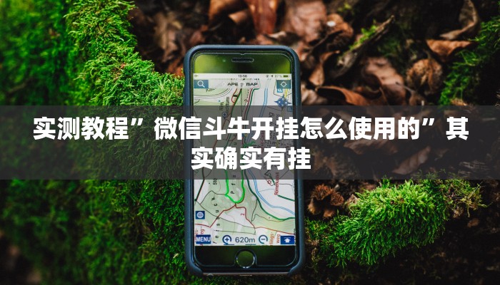 实测教程”微信斗牛开挂怎么使用的”其实确实有挂
