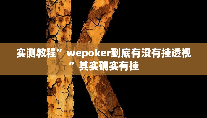 实测教程”wepoker到底有没有挂透视”其实确实有挂