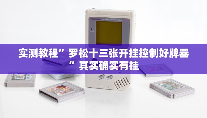 实测教程”罗松十三张开挂控制好牌器”其实确实有挂