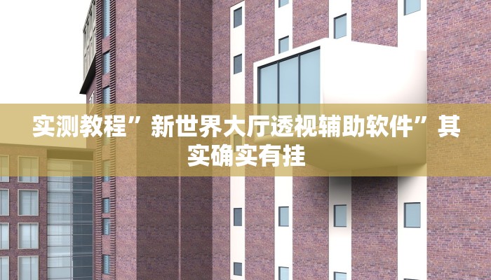 实测教程”新世界大厅透视辅助软件”其实确实有挂