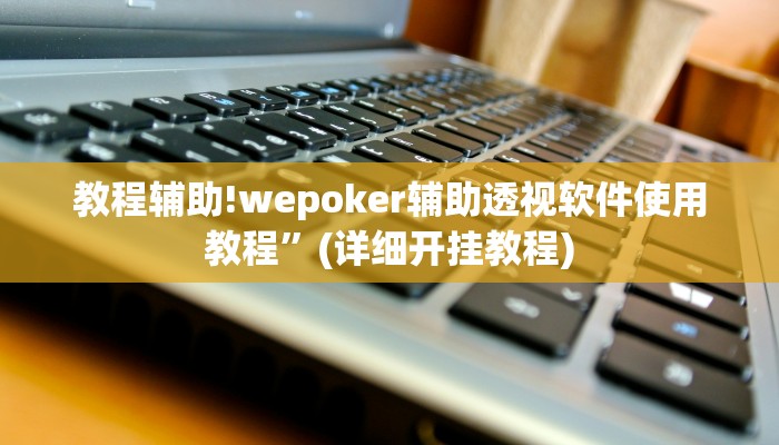 教程辅助!wepoker辅助透视软件使用教程”(详细开挂教程)