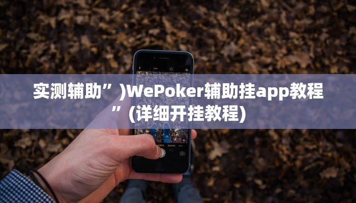 实测辅助”)WePoker辅助挂app教程”(详细开挂教程)