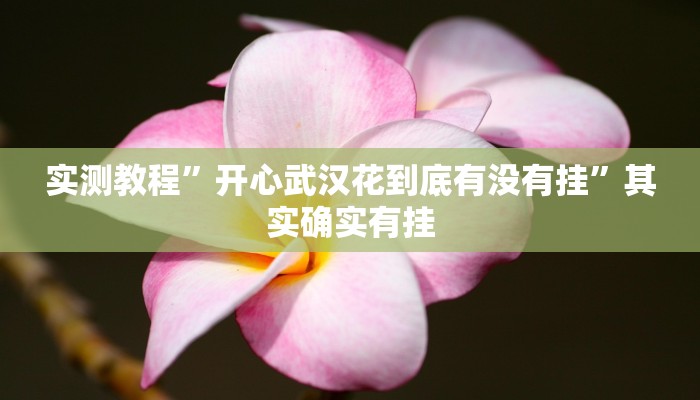 实测教程”开心武汉花到底有没有挂”其实确实有挂