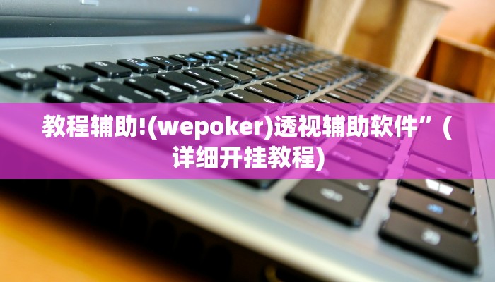 教程辅助!(wepoker)透视辅助软件”(详细开挂教程)