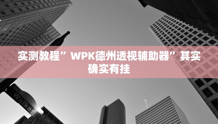 实测教程”WPK德州透视辅助器”其实确实有挂