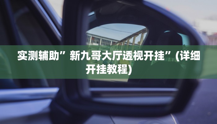 实测辅助”新九哥大厅透视开挂”(详细开挂教程)