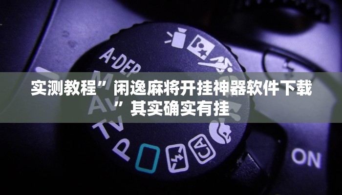 实测教程”闲逸麻将开挂神器软件下载”其实确实有挂