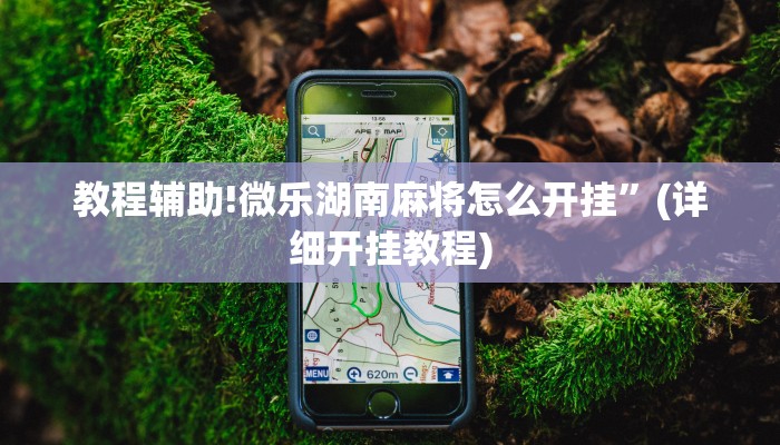 教程辅助!微乐湖南麻将怎么开挂”(详细开挂教程)