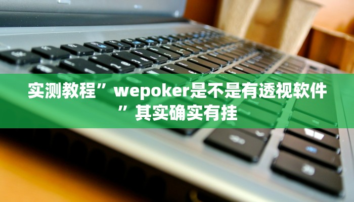 实测教程”wepoker是不是有透视软件”其实确实有挂