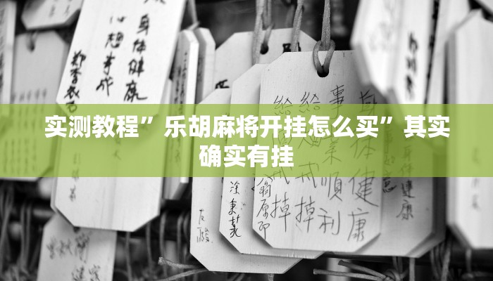 实测教程”乐胡麻将开挂怎么买”其实确实有挂
