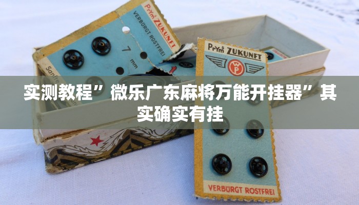实测教程”微乐广东麻将万能开挂器”其实确实有挂