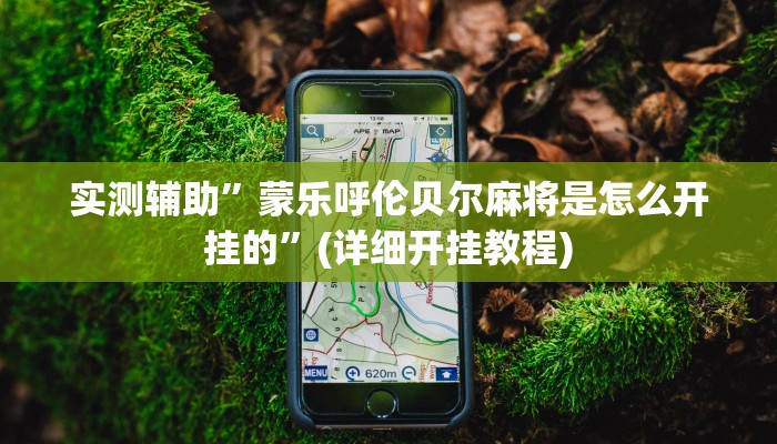 实测教程”德扑之星辅助开挂”其实确实有挂