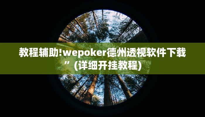 教程辅助!wepoker德州透视软件下载”(详细开挂教程)