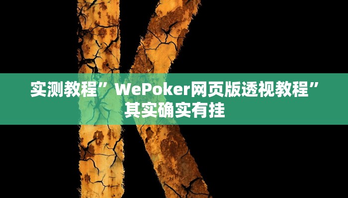 实测教程”WePoker网页版透视教程”其实确实有挂