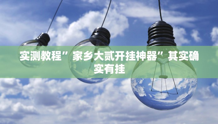 实测教程”家乡大贰开挂神器”其实确实有挂