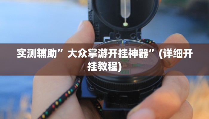 实测辅助”大众掌游开挂神器”(详细开挂教程)