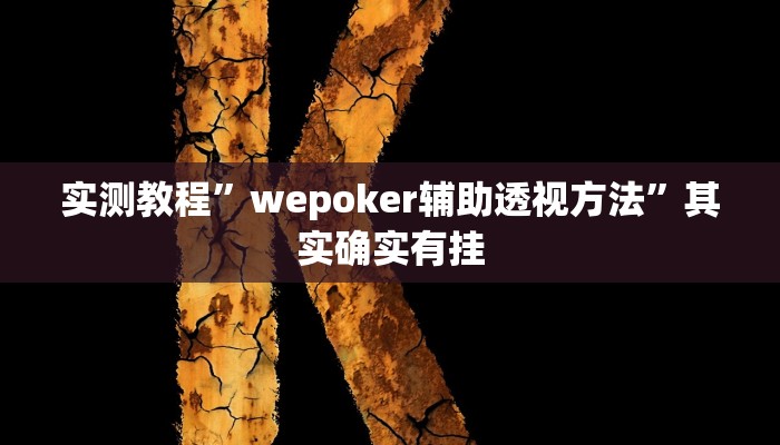 实测教程”wepoker辅助透视方法”其实确实有挂