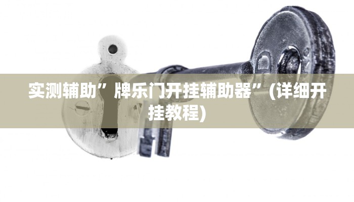 实测辅助”牌乐门开挂辅助器”(详细开挂教程)