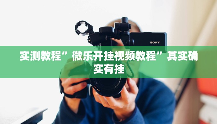 实测教程”微乐开挂视频教程”其实确实有挂