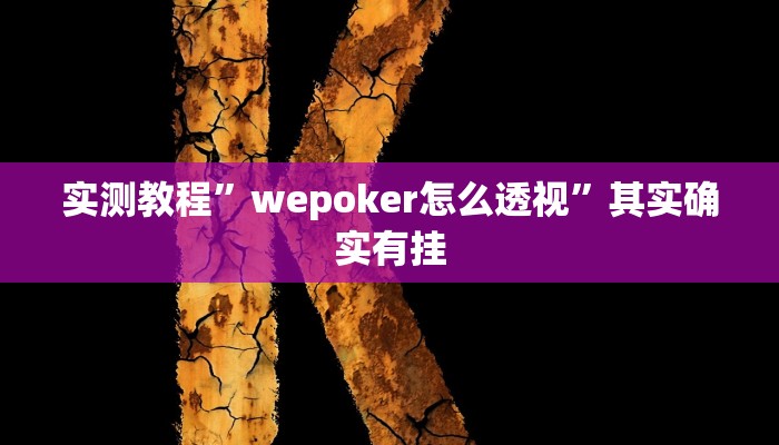 实测教程”wepoker怎么透视”其实确实有挂
