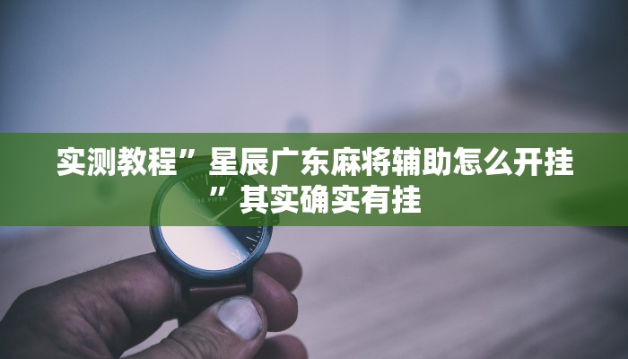 实测教程”星辰广东麻将辅助怎么开挂”其实确实有挂