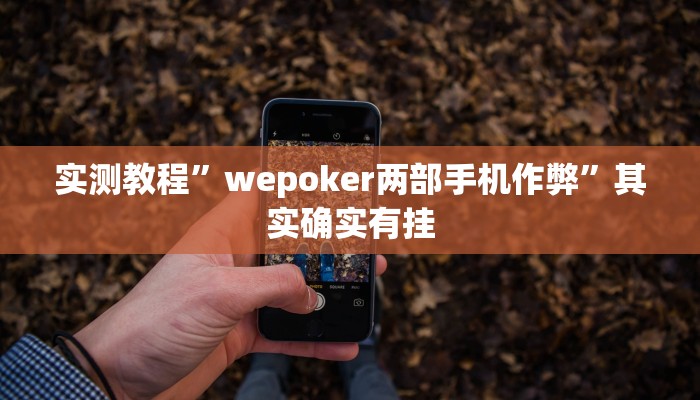 实测教程”wepoker两部手机作弊”其实确实有挂