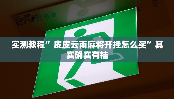 实测教程”皮皮云南麻将开挂怎么买”其实确实有挂