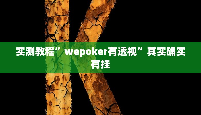 实测教程”wepoker有透视”其实确实有挂