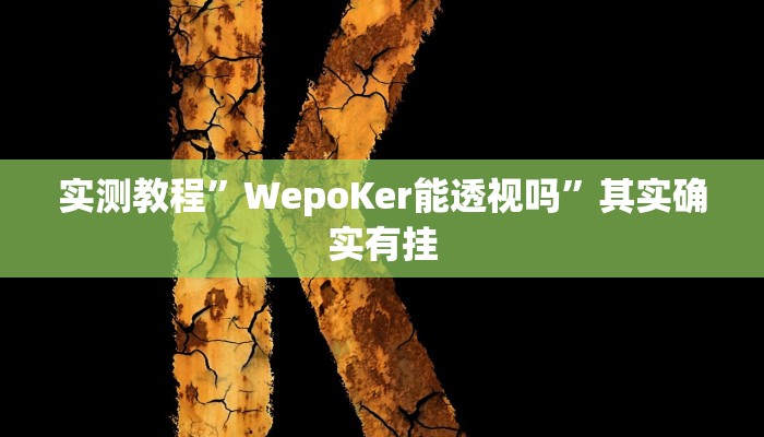 实测教程”wepoker透视开挂方法”其实确实有挂