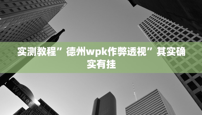 实测教程”德州wpk作弊透视”其实确实有挂