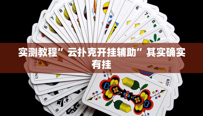 实测教程”云扑克开挂辅助”其实确实有挂