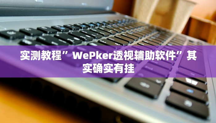 实测教程”WePker透视辅助软件”其实确实有挂