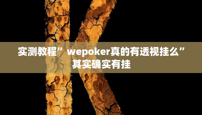 实测教程”wepoker真的有透视挂么”其实确实有挂