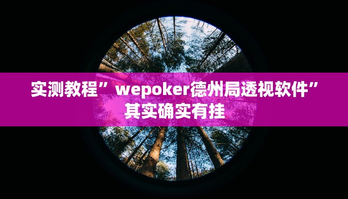实测教程”wepoker德州局透视软件”其实确实有挂