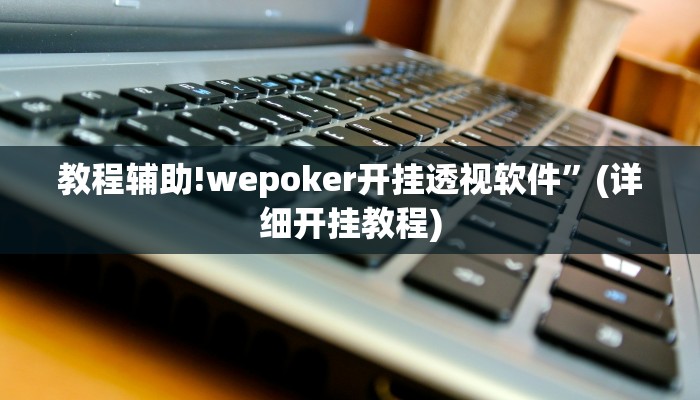 教程辅助!wepoker开挂透视软件”(详细开挂教程)
