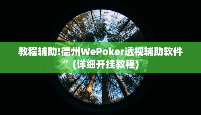 教程辅助!德州WePoker透视辅助软件”(详细开挂教程)