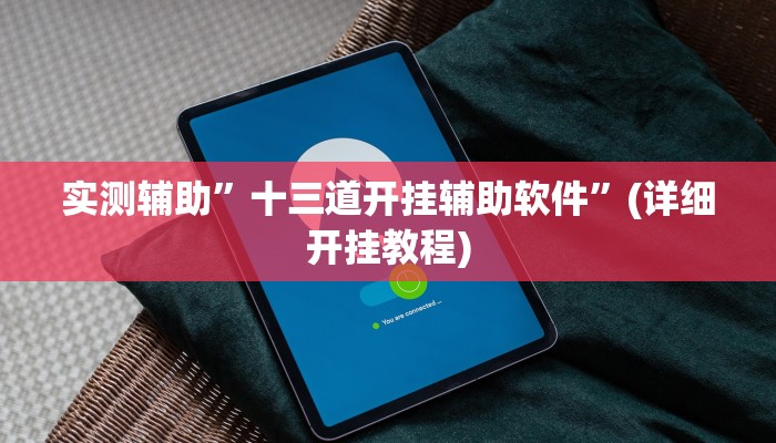 实测辅助”十三道开挂辅助软件”(详细开挂教程)