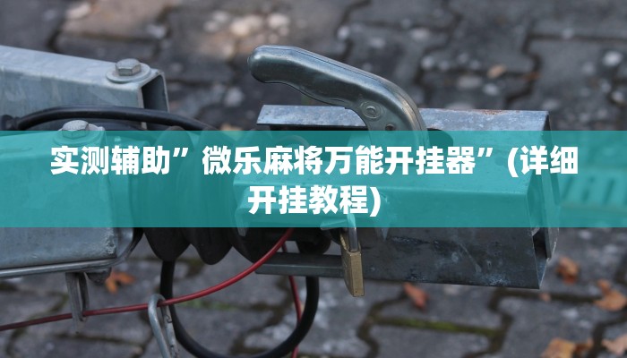 实测辅助”微乐麻将万能开挂器”(详细开挂教程)