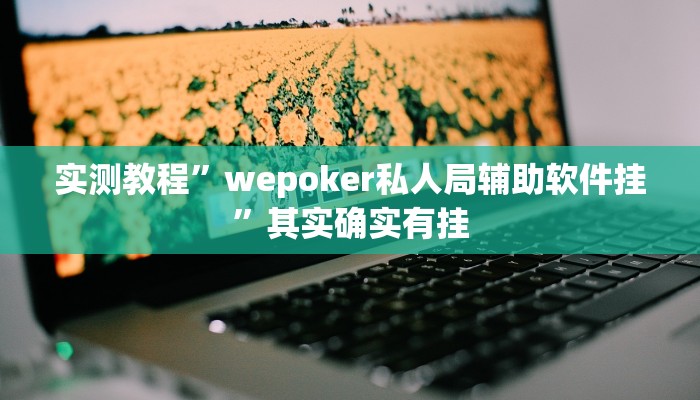 实测教程”wepoker私人局辅助软件挂”其实确实有挂