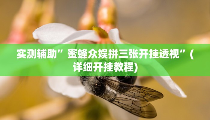 实测辅助”蜜蜂众娱拼三张开挂透视”(详细开挂教程)