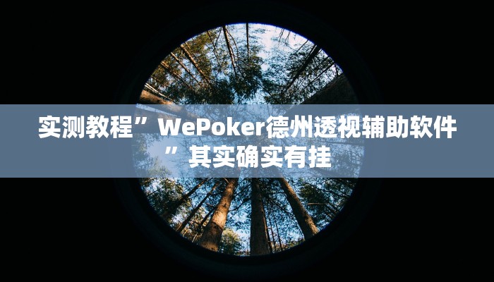 实测教程”WePoker德州透视辅助软件”其实确实有挂
