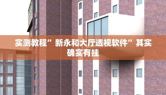 实测教程”新永和大厅透视软件”其实确实有挂