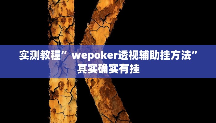 实测教程”wepoker透视辅助挂方法”其实确实有挂