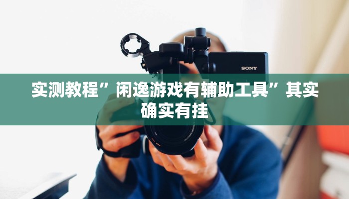 实测教程”闲逸游戏有辅助工具”其实确实有挂